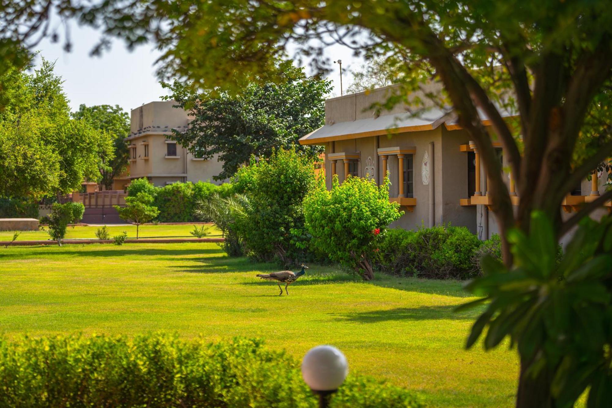 Thar Oasis Resort And Camp Dechu Exteriér fotografie
